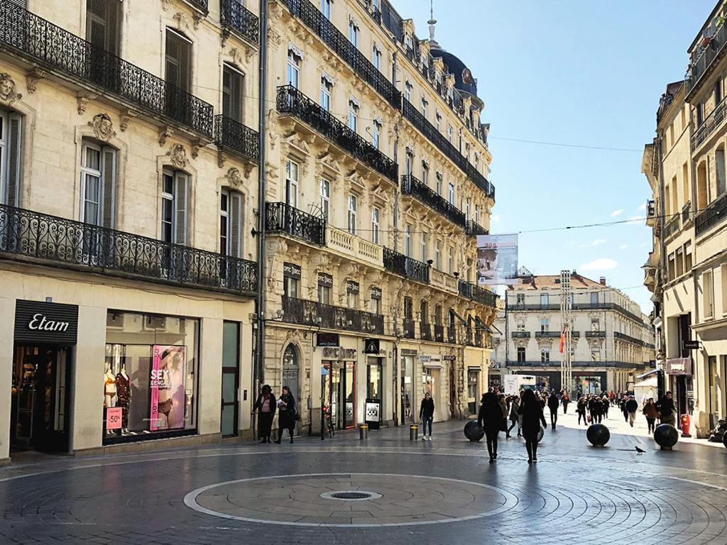 شقة Le Havre De Paix Montpellierain - Terrasse Et Parking Prive المظهر الخارجي الصورة