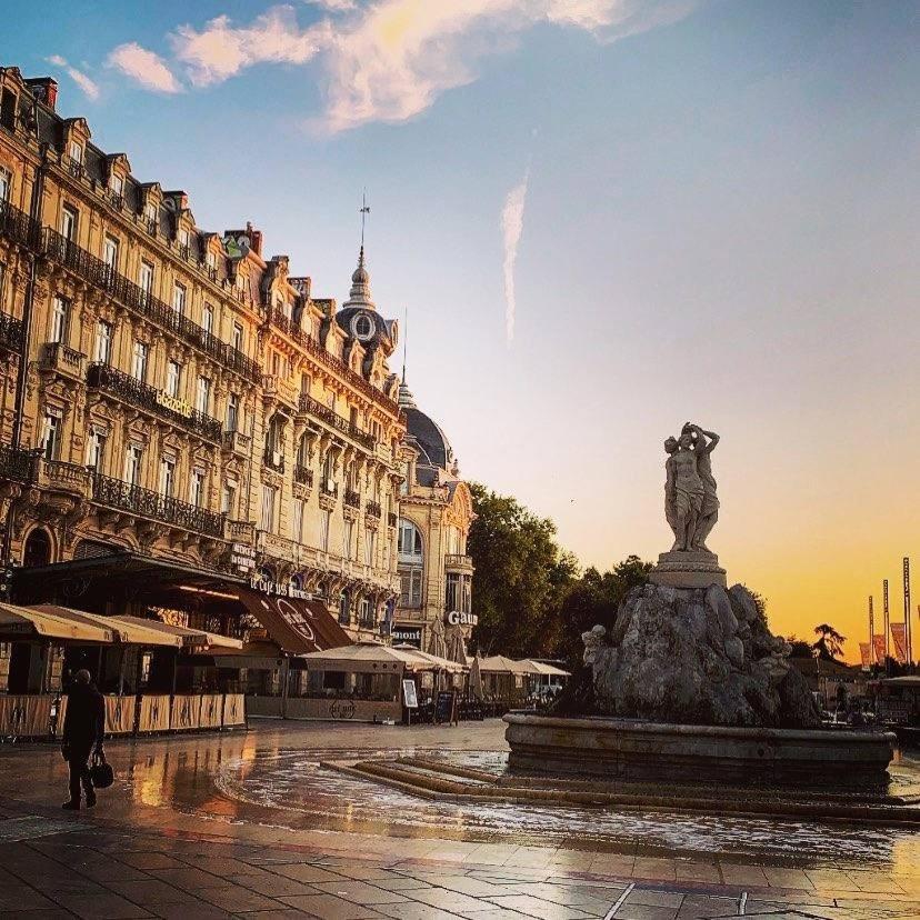 شقة Le Havre De Paix Montpellierain - Terrasse Et Parking Prive المظهر الخارجي الصورة